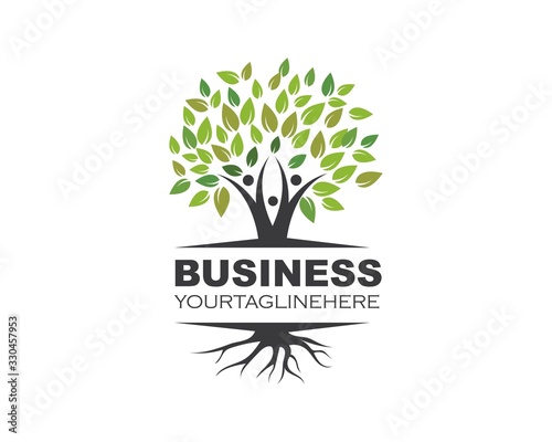 family tree logo template vector