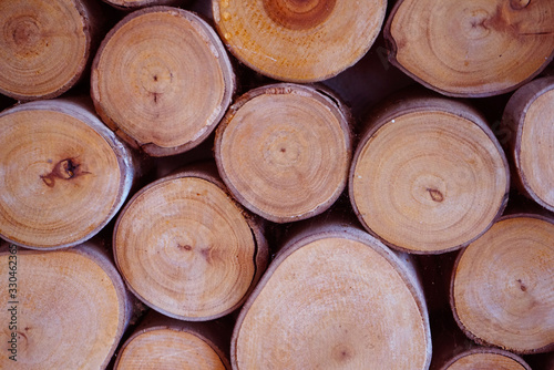Round wood stump texture background.