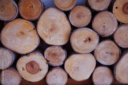 Round wood stump texture background.