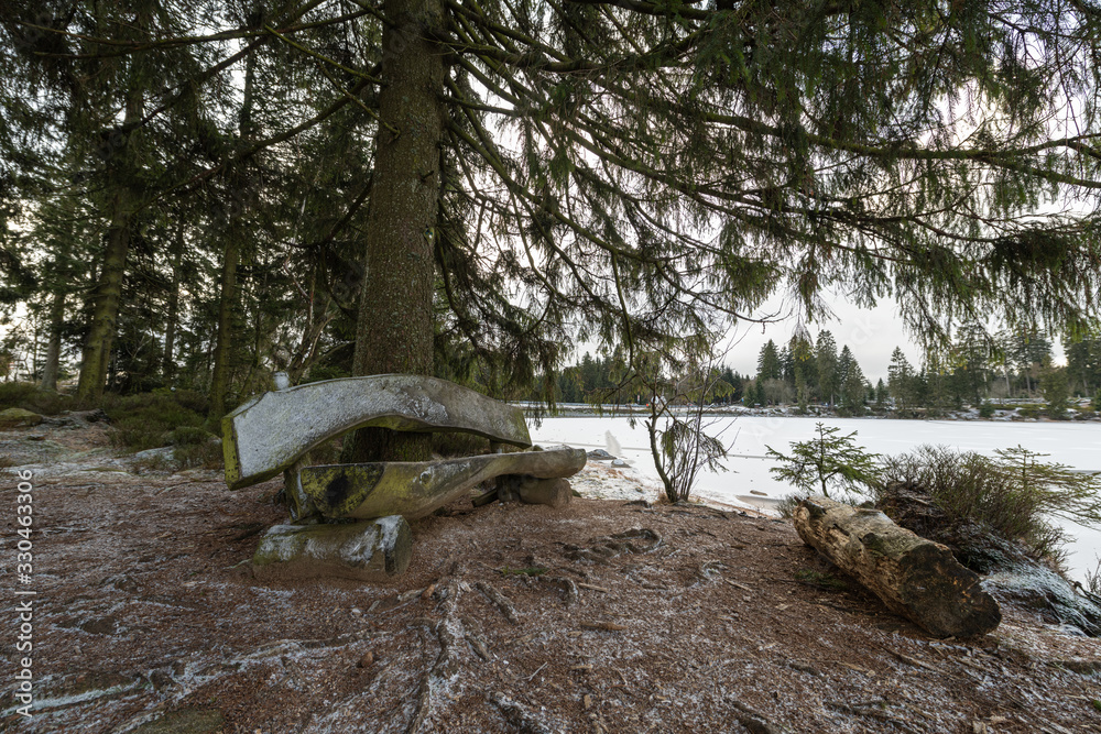 Obraz premium Oderteich Holzbank