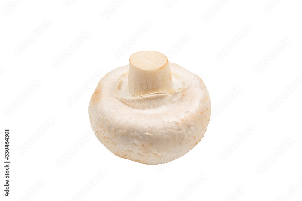 Champignon mushroom isolated on white background. Champignon mushroom isolated on white background.