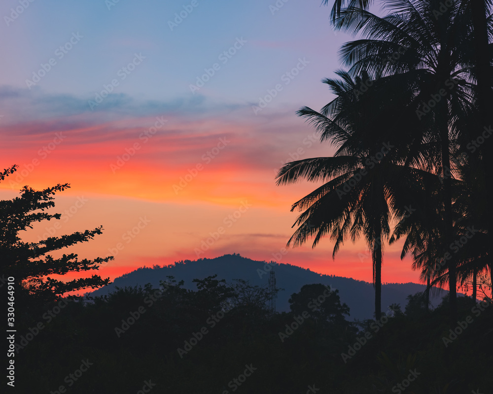 Spectacular sunset over palm trees Spectacular sunset over palm trees