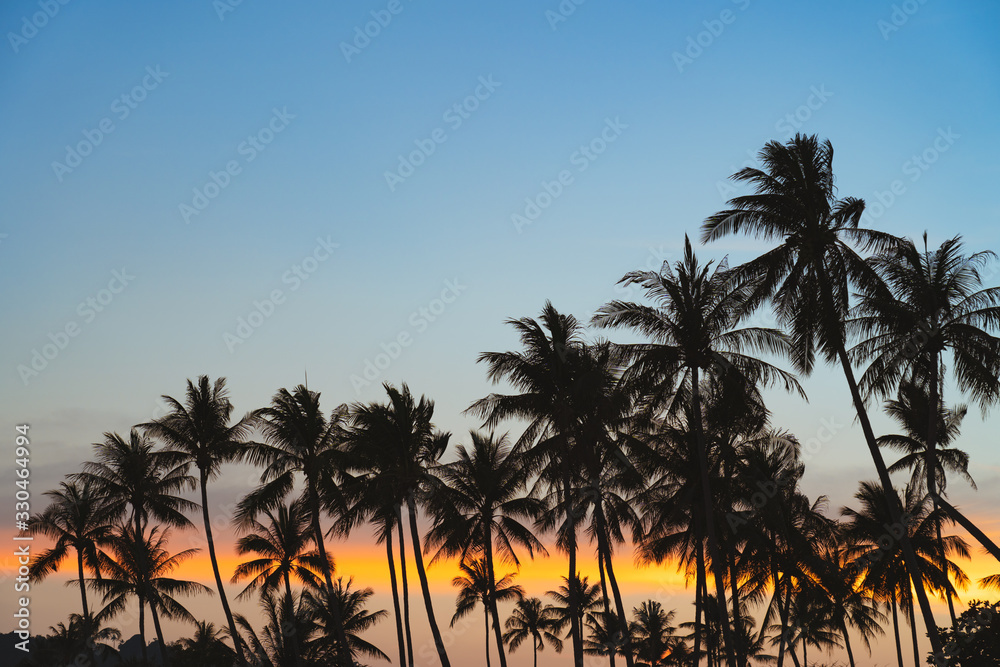 Spectacular sunset over palm trees 