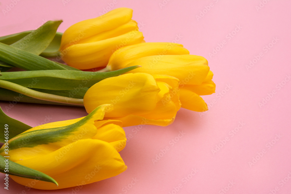 Yellow tulips flowers on a pink background. Waiting for spring. Happy Easter card. Flat lay, top view. Copy space for text Yellow tulips flowers on a pink background. Waiting for spring. Happy Easter card. Flat lay, top view. Copy space for text