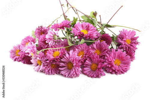 Chrysanthemums