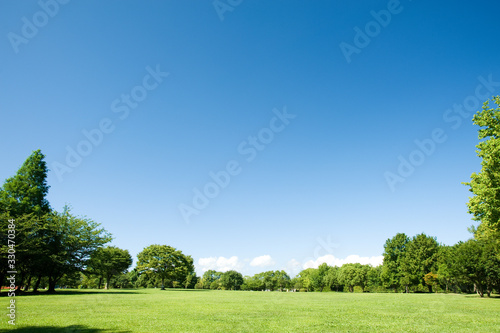 青空と草原と新緑の樹 © maco