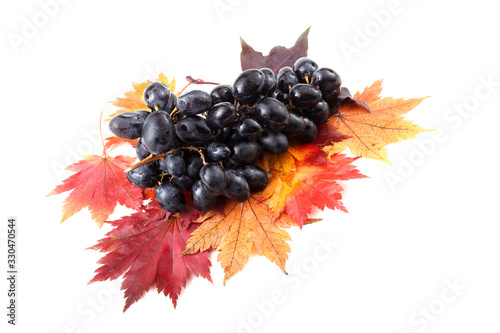 Black grape on autumn maple leaves