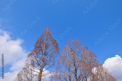 空へ
