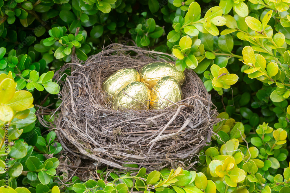 Fototapeta premium Nest with chocolate eggs hidden in an hedge for Easter