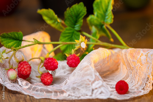 Raspberry branch with berri...