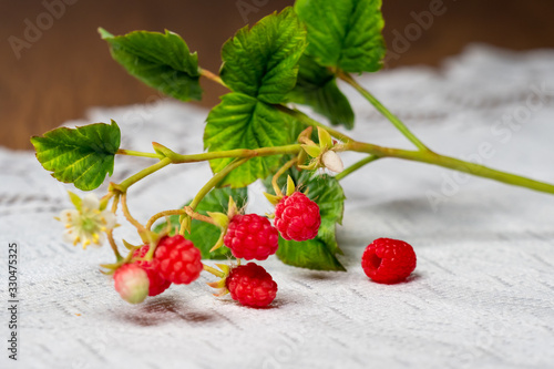 Raspberry branch on a white...