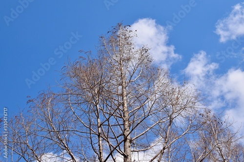 冬空