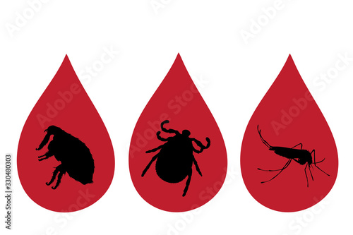 Set of vector silhouette of insect inside drop of blood on white background. Symbol of attention on insect. Danger of diseases.