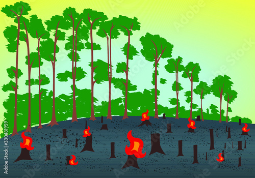 illustration of deforestation with a picture of a forest that has already been lost