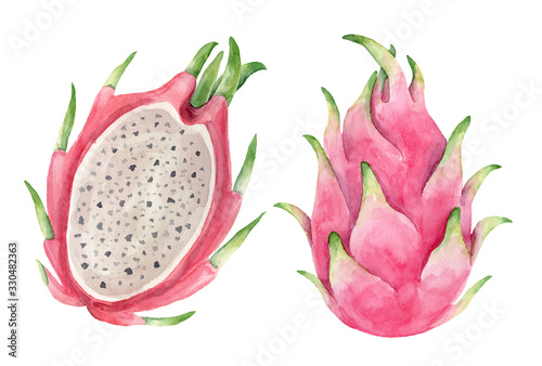 Watercolor illustration of pitaya fruit. Half Dragon Fruit Seed. Vegan Exotic Food