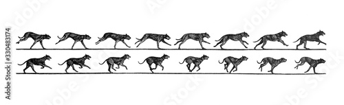 Composition of Jumping dog in different stages   Antique illustration from Brockhaus Konversations-Lexikon 1908