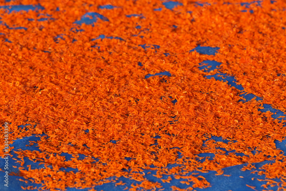Dried shrimp. Preserving food by drying with sunlight.