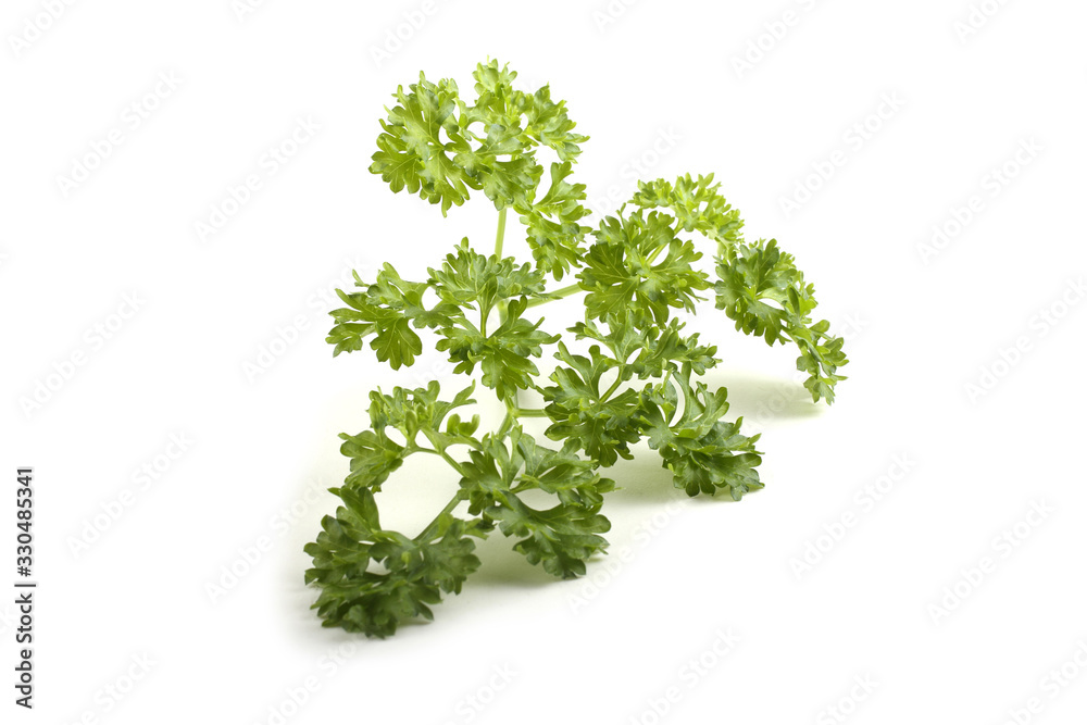 Parsley Parsley
