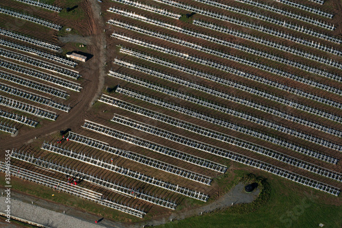 Eine riesige Photovoltaikanlage wird auf landwirtschaftlicher Fläche aufgebaut photo