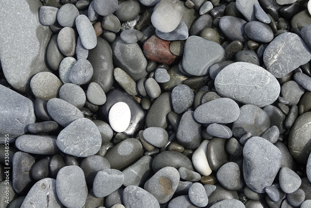 Weißer Stein unter grauen Steinen am Strand Weißer Stein unter grauen Steinen am Strand