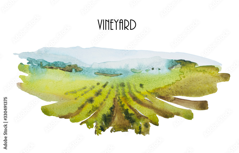 Obraz Watercolor landscape with green wineyards and blue mountains. Original backdrop illustration of vineyards