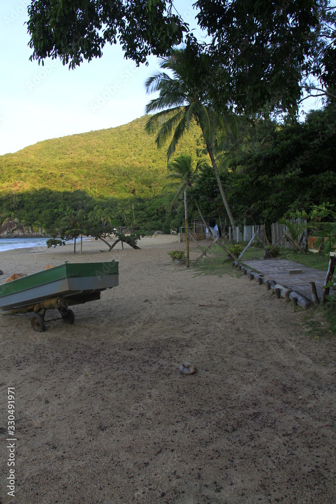 Obraz premium NATURE