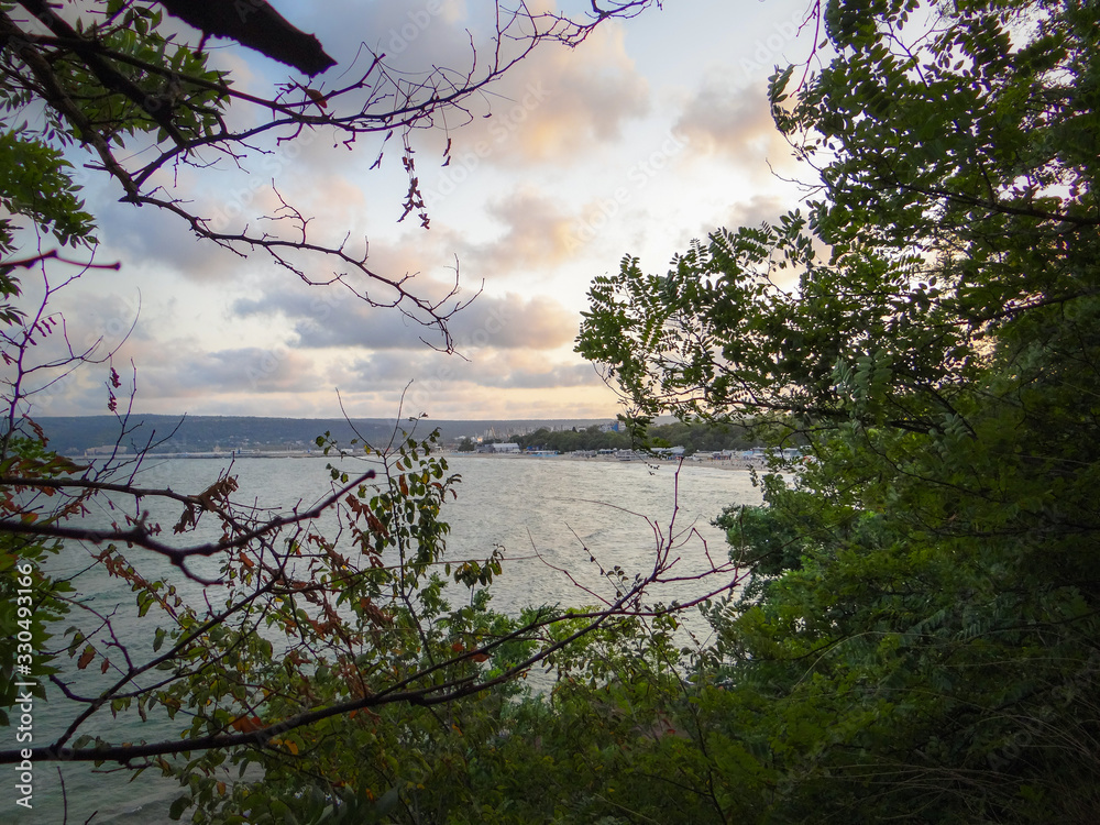 An outstanding landscape with tree branches and the sea coming through. 