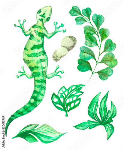 Watercolor lizard in its environment. can be used for interior decoration in an aquarium. drawn by hand.