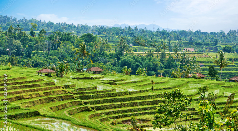 Bali island green rice terraces of Jatiluwih.