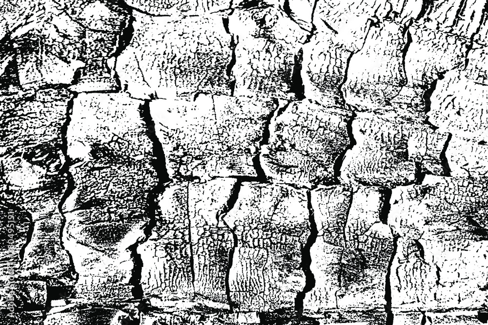 Natural black and white texture of burnt wood. Grunge monochrome smut surface background with halftone, cracks, spots and graininess. Overlay template. Vector illustration