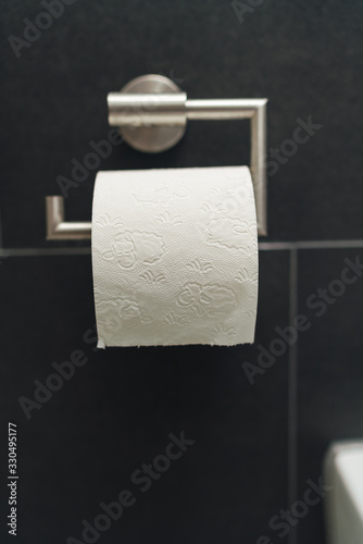 Toilettenpapier voll am Klorollenhalter photo