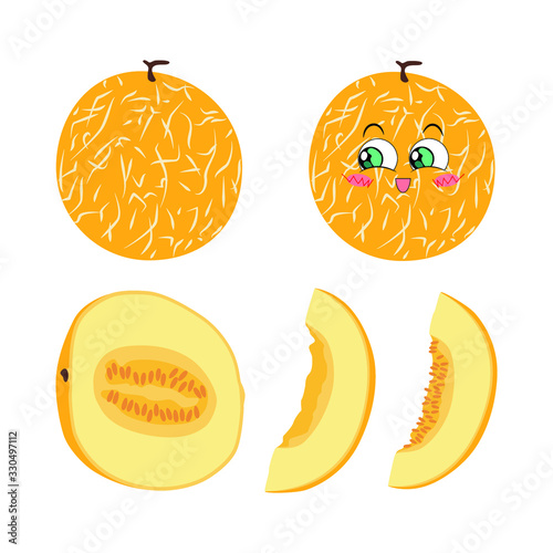 Vector illustration of whole melon, halves and slices on a white background in flat style. Bright set of juicy melon for design.
