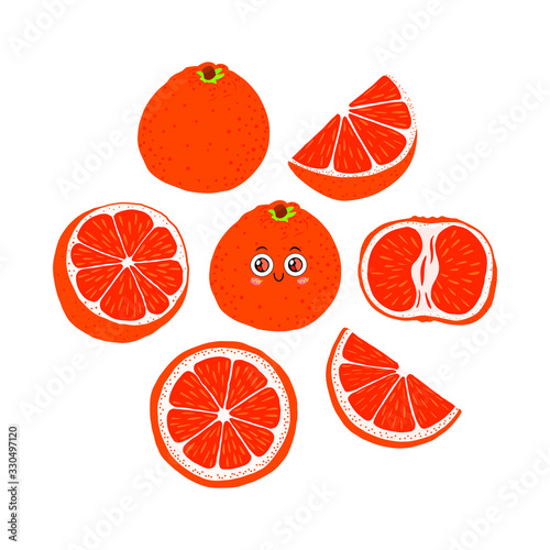 Collection of vector illustrations of orange drawn in different styles. Set of red orange on a white.
