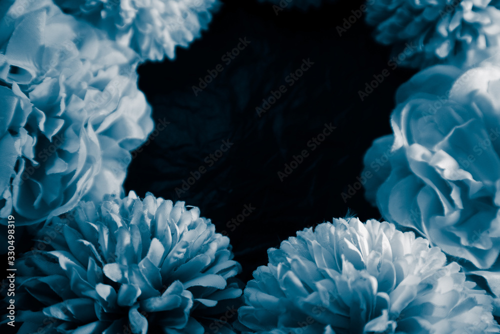 Beautiful abstract color purple and blue flowers on black background and blue graphic white flower frame and dark leaves texture, purple background, colorful graphics banner