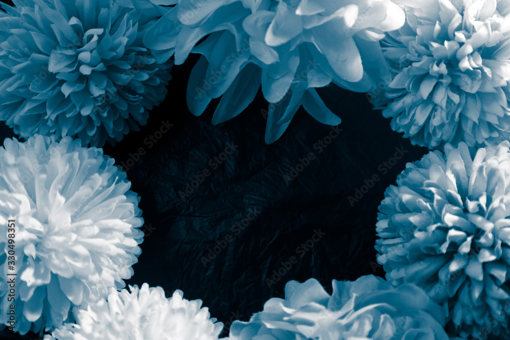 Beautiful abstract color purple and blue flowers on black background and blue graphic white flower frame and dark leaves texture, purple background, colorful graphics banner
