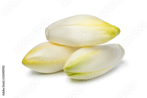 Heap of whole fresh raw Belgian endive
