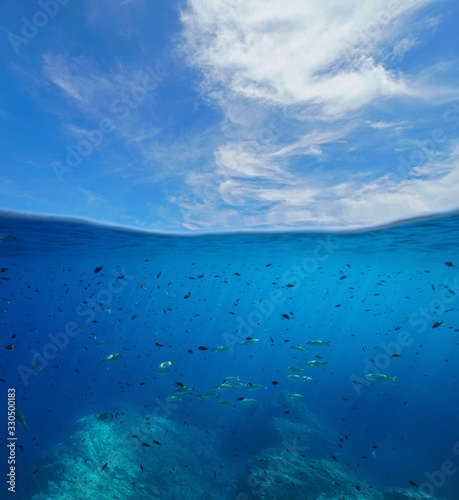 Seascape of Mediterranean sea, many fish underwater and blue sky with cloud, split view over and under water surface, France, Occitanie, Pyrenees-Orientales
