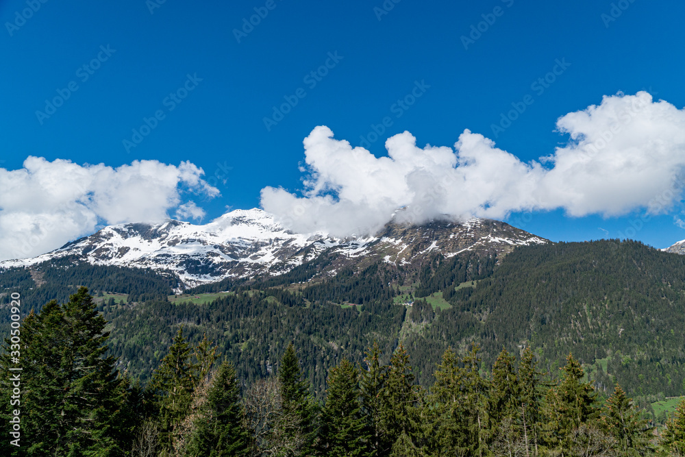 Fototapeta premium Panoramic view on winter snowy mountains at nice sunny evening.