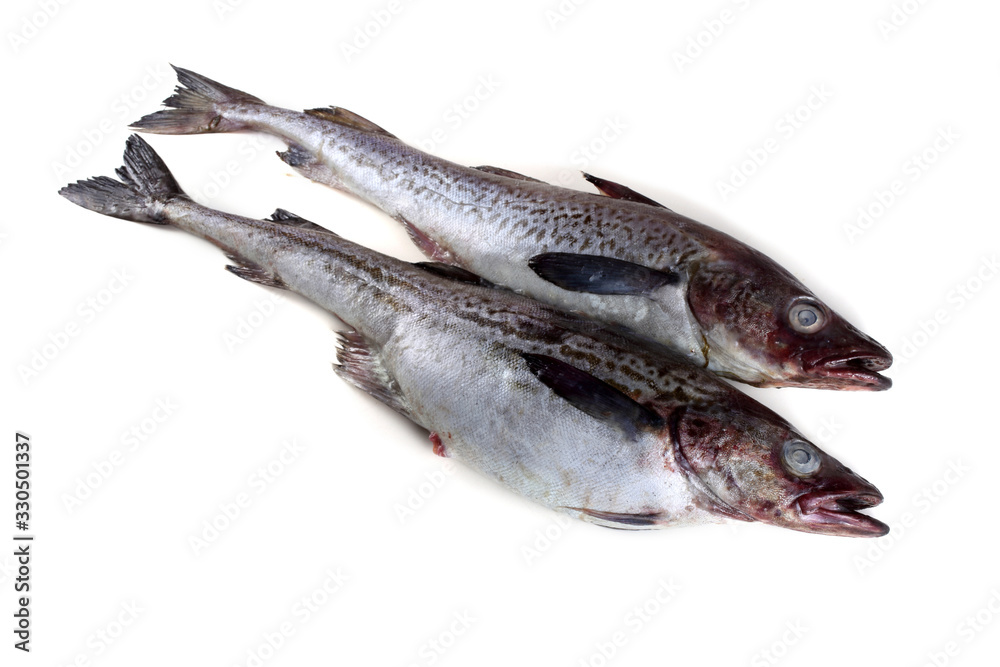 Alaska pollock Alaska pollock