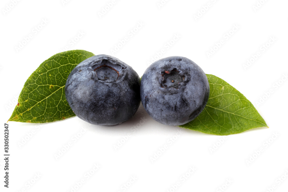 Blueberries and leaf Blueberries and leaf