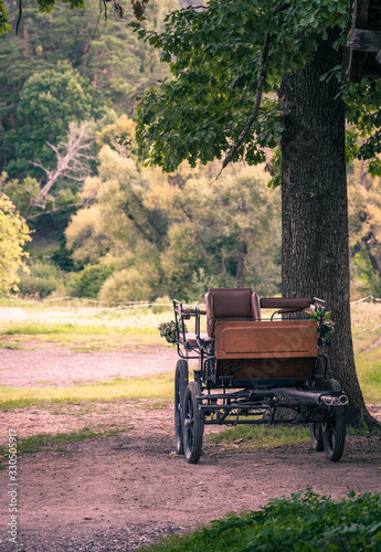 old horse-drawn carriages under the tree in summer  vintage effect
