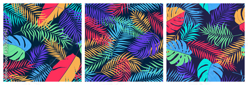 Set of seamless patterns with exotic colorful leaves of monstera, banana tree and palm branches, bright trendy vector tropical backgrounds