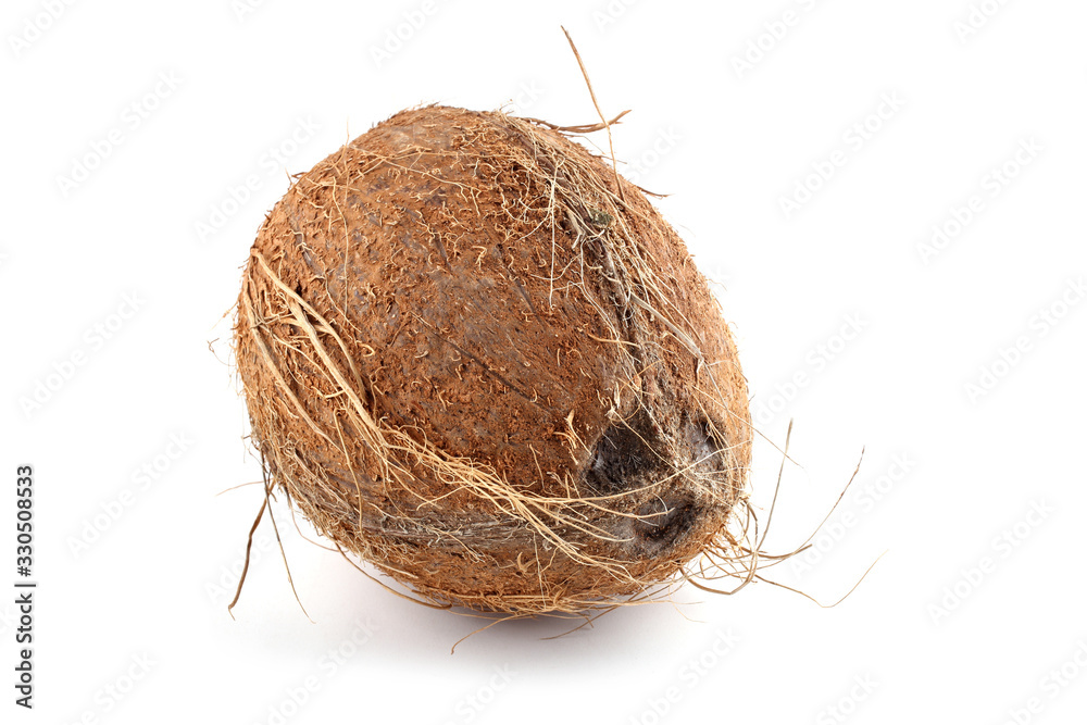 Coconut Coconut