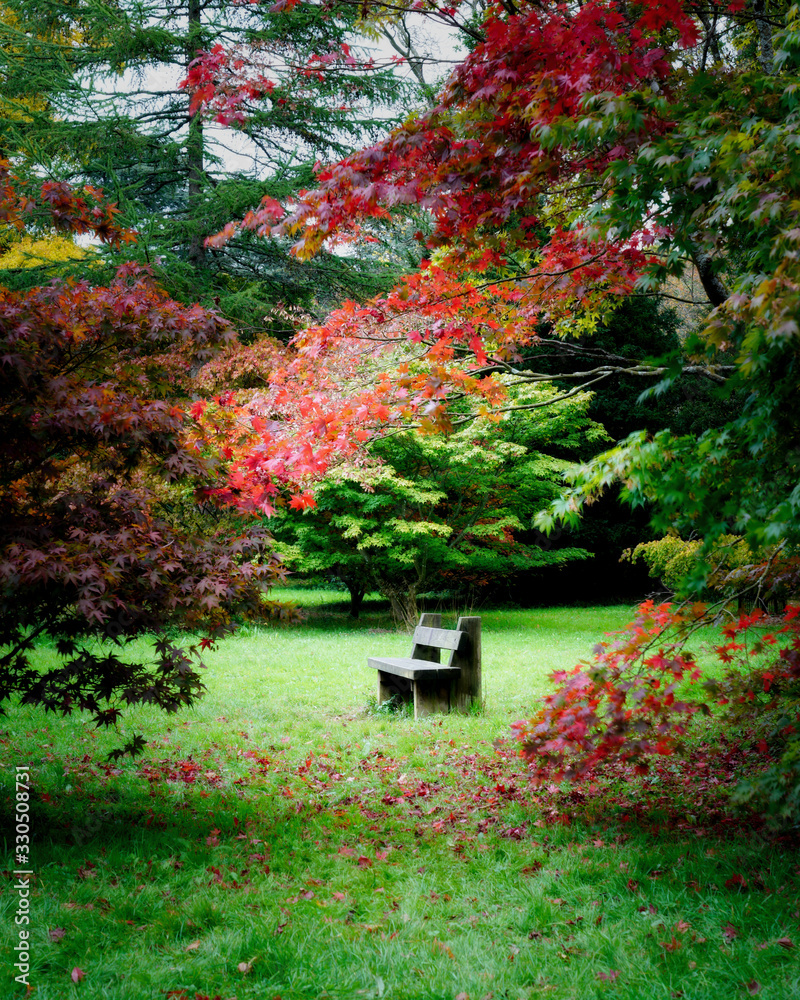 Autumn Bench