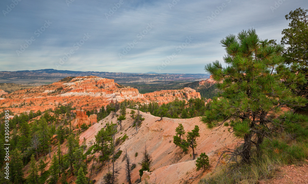 Red rocks in National Park Bryce Canyon, USA