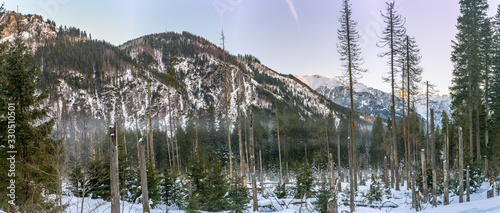 Panorama of rocky mountains in winter