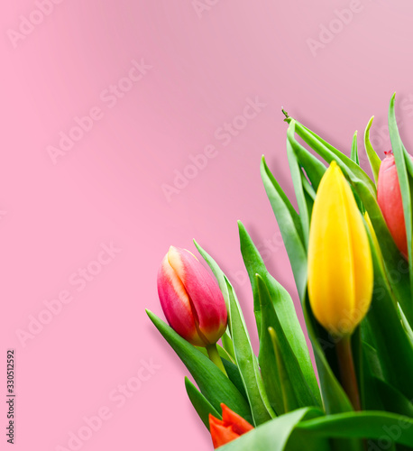 Fototapeta Naklejka Na Ścianę i Meble -  Easter flowers in front of a pink background