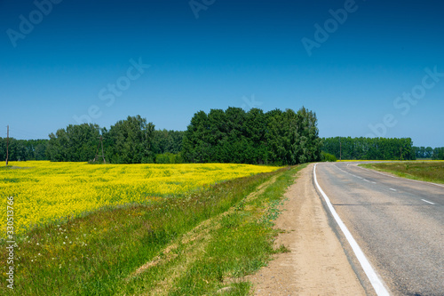 countryside road near yellow farming field