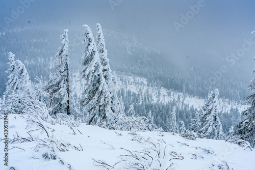 Photos Winter am Arber