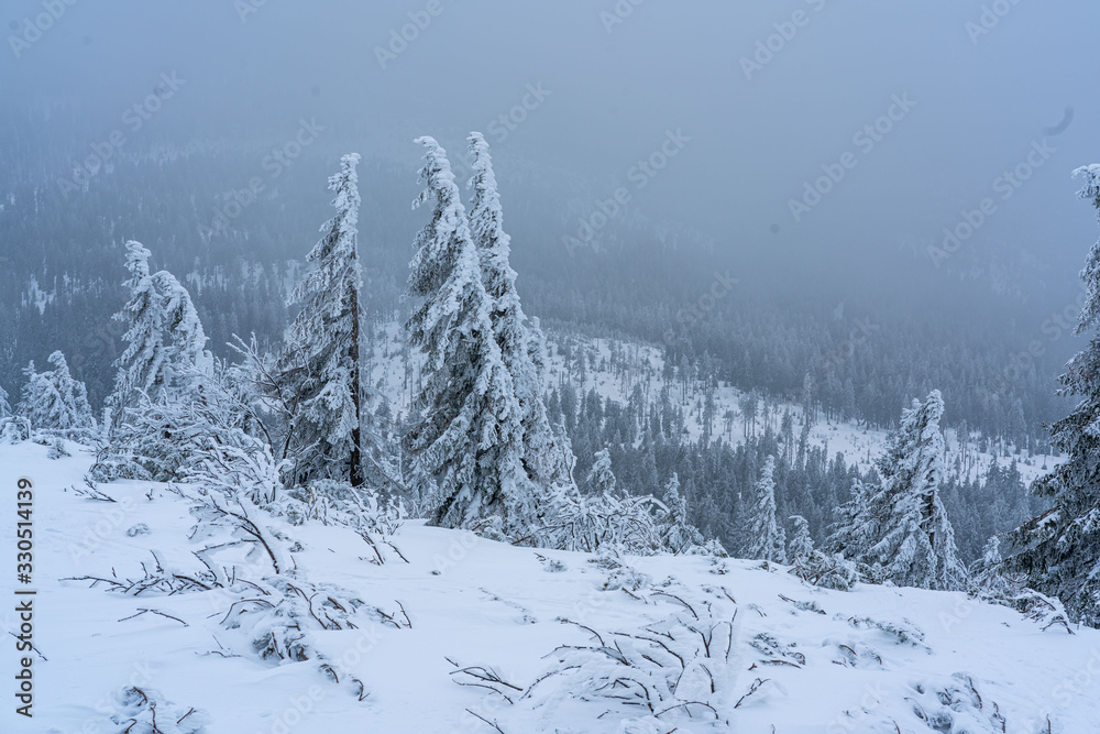 Fototapeta premium Winter am Arber